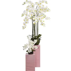 Plante Artificielle Orchidée he, 40 Cm-DecoWoerner Clearance