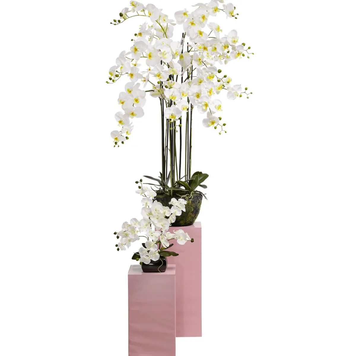 Plante Artificielle Orchidée he, 40 Cm-DecoWoerner Clearance
