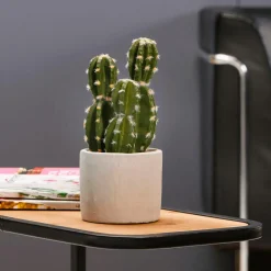 Plante De Cactus Artificielle En Pot 23 Cm-DecoWoerner Best