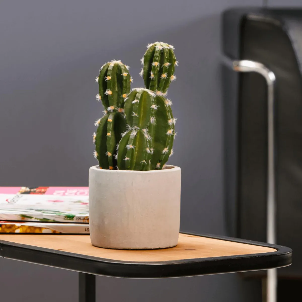 Plante De Cactus Artificielle En Pot 23 Cm-DecoWoerner Best