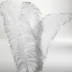 Plume D'autruche he-DecoWoerner New