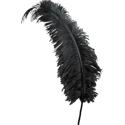 Plume D'autruche e-DecoWoerner Discount
