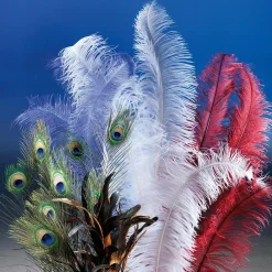 Plume D'autruche Poudre-DecoWoerner Sale