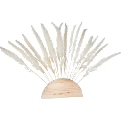 Plume D'herbe De La Pampa he à Planter 45 Cm-DecoWoerner Discount