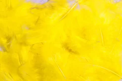 Plumes Déco s, 20 G-DecoWoerner