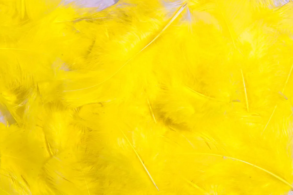 Plumes Déco s, 20 G-DecoWoerner