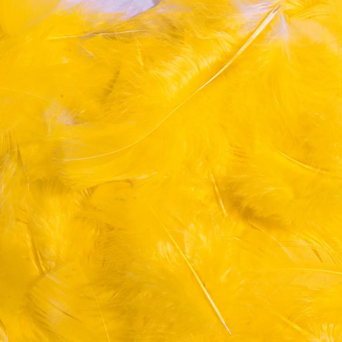 Plumes Déco s, 20 G-DecoWoerner