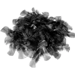 Plumes Déco es, 20 G-DecoWoerner Best