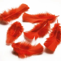 Plumes Déco s, 20 G-DecoWoerner
