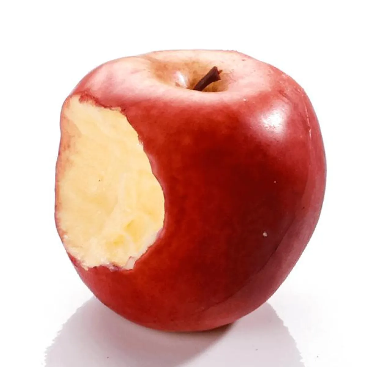 Pomme Croquée - Aliments Factices 7,5 Cm Ø-DecoWoerner Clearance