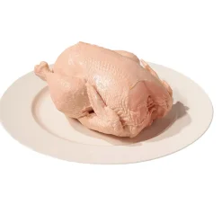 Poulet Cru Alimentaire Factice 23 Cm-DecoWoerner Outlet
