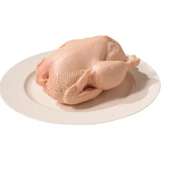 Poulet Cru Alimentaire Factice 23 Cm-DecoWoerner Outlet