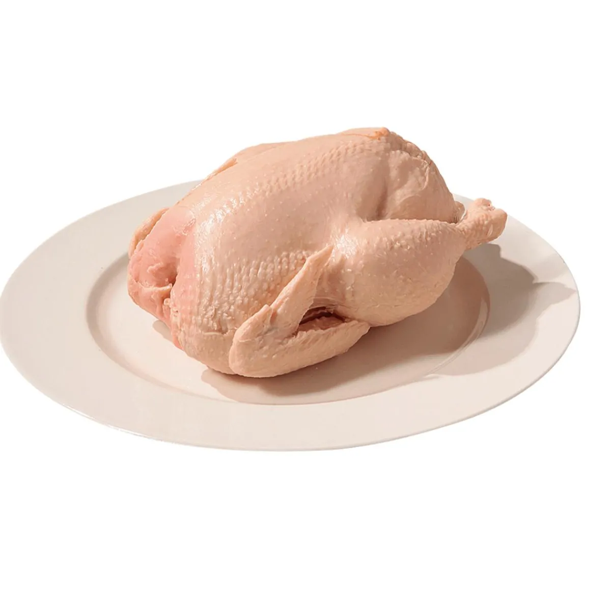 Poulet Cru Alimentaire Factice 23 Cm-DecoWoerner Outlet
