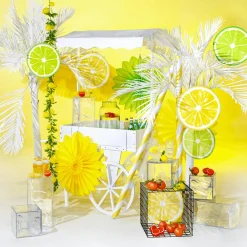 Présentoir Limette & Zitrone 35/40 Cm-DecoWoerner Discount