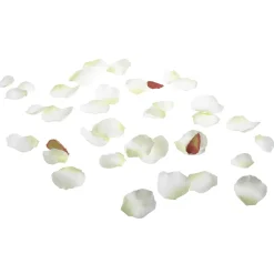 Pétales De Roses hes, 100 Pces-DecoWoerner Outlet