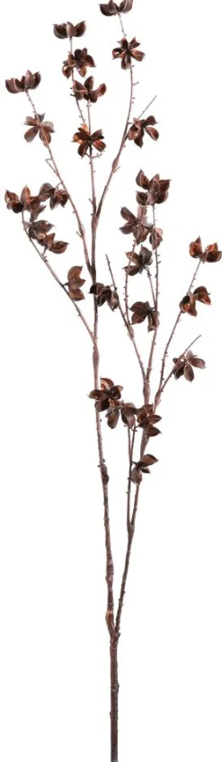 Rameau Déco Infrutescence De Coton 110 Cm-DecoWoerner Clearance