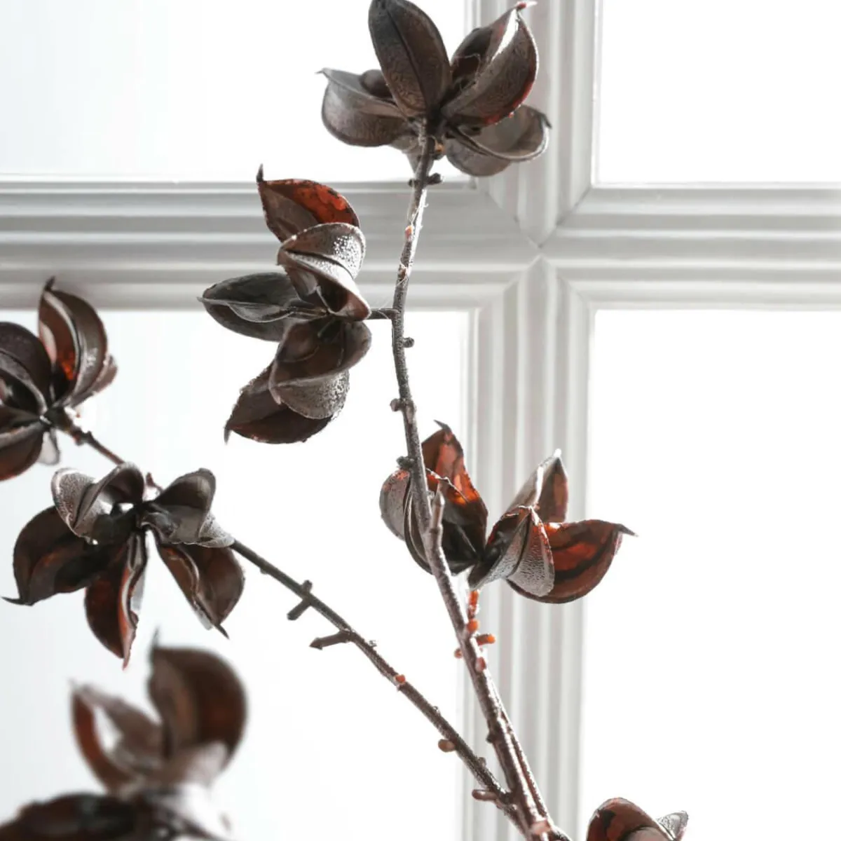 Rameau Déco Infrutescence De Coton 110 Cm-DecoWoerner Clearance