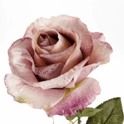 Artificielle, 68 Cm, Mauve-DecoWoerner Clearance