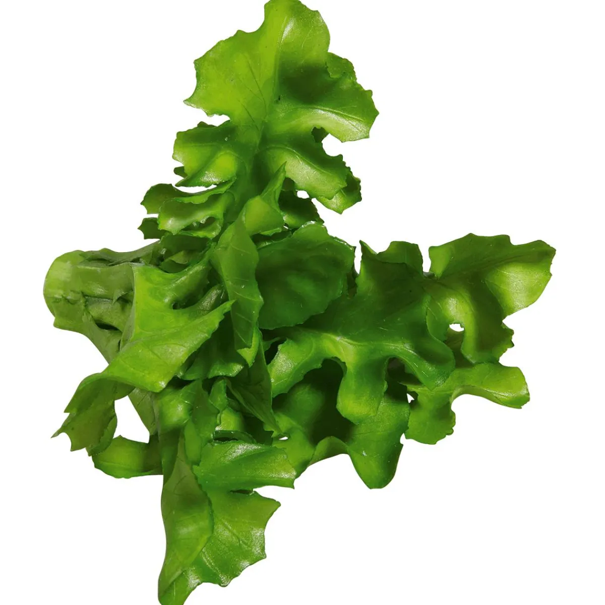 Ruccola Aliment Factice, Ø 16 Cm, 2 Pces-DecoWoerner Best