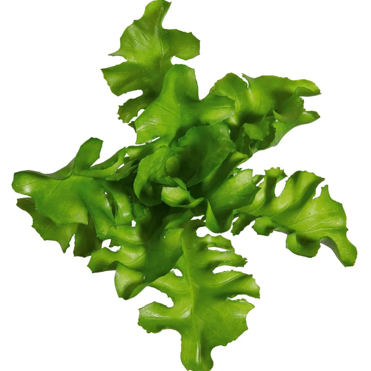 Ruccola Aliment Factice, Ø 16 Cm, 2 Pces-DecoWoerner Best
