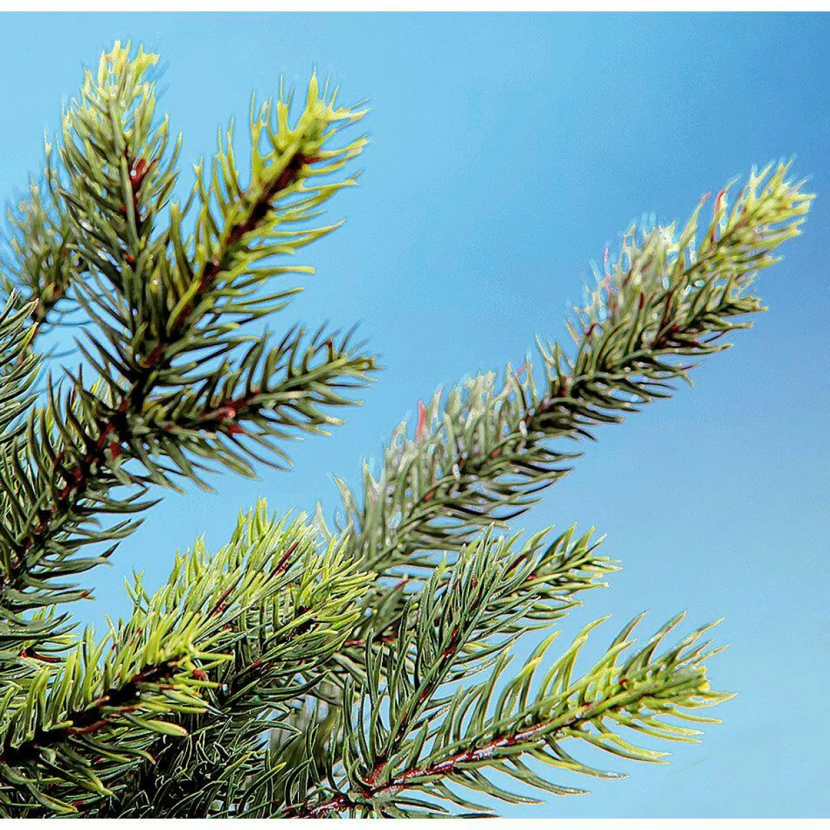 Sapin De Noël Artificiel Douglas Avec LED 210 Cm-DecoWoerner Hot