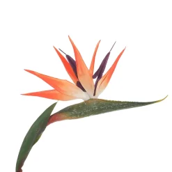 Strelizia Artificiel Fleur D'oiseau De Paradis 14 X 84 Cm-DecoWoerner Clearance