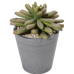 Succulentes Artificielles 20 Cm-DecoWoerner New