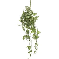 Suspension Tradecantia En Pot 65 Cm-DecoWoerner Online