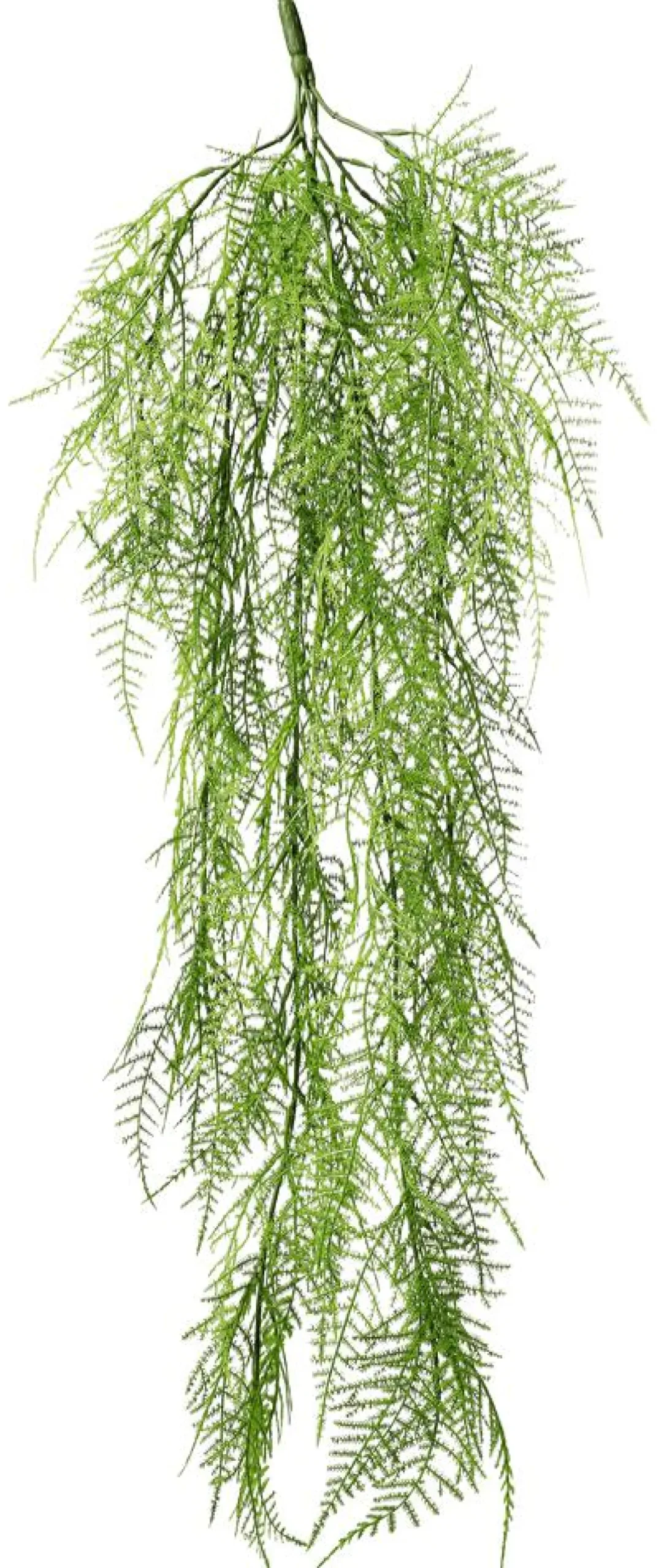 Suspension Végétale "Asperge ", 80 Cm-DecoWoerner Best