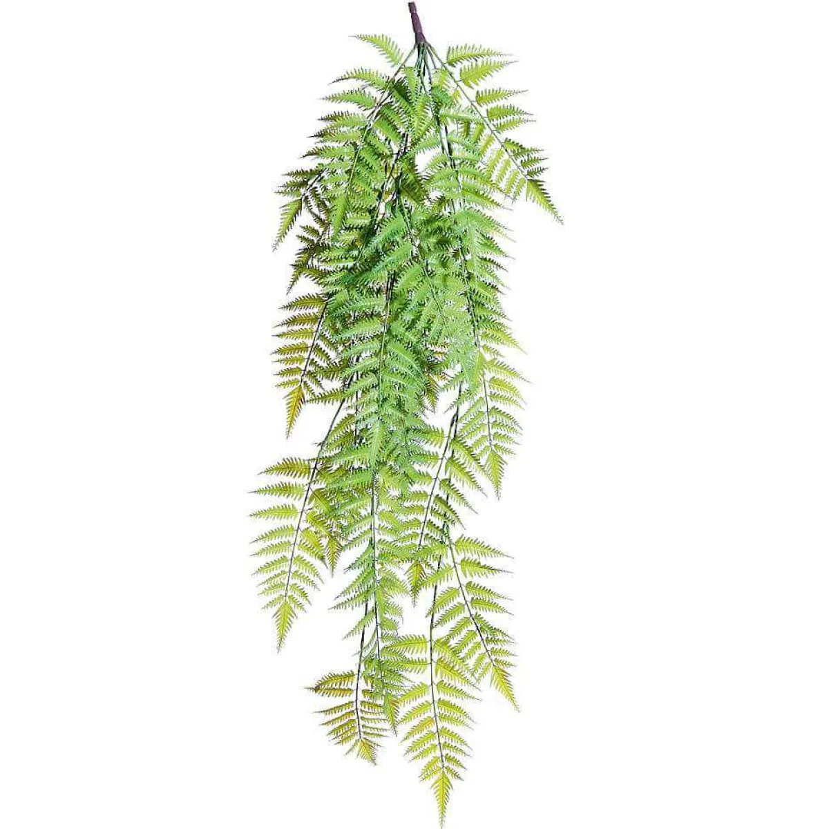 Suspension Végétale Fougère Femelle, 119 Cm-DecoWoerner Outlet