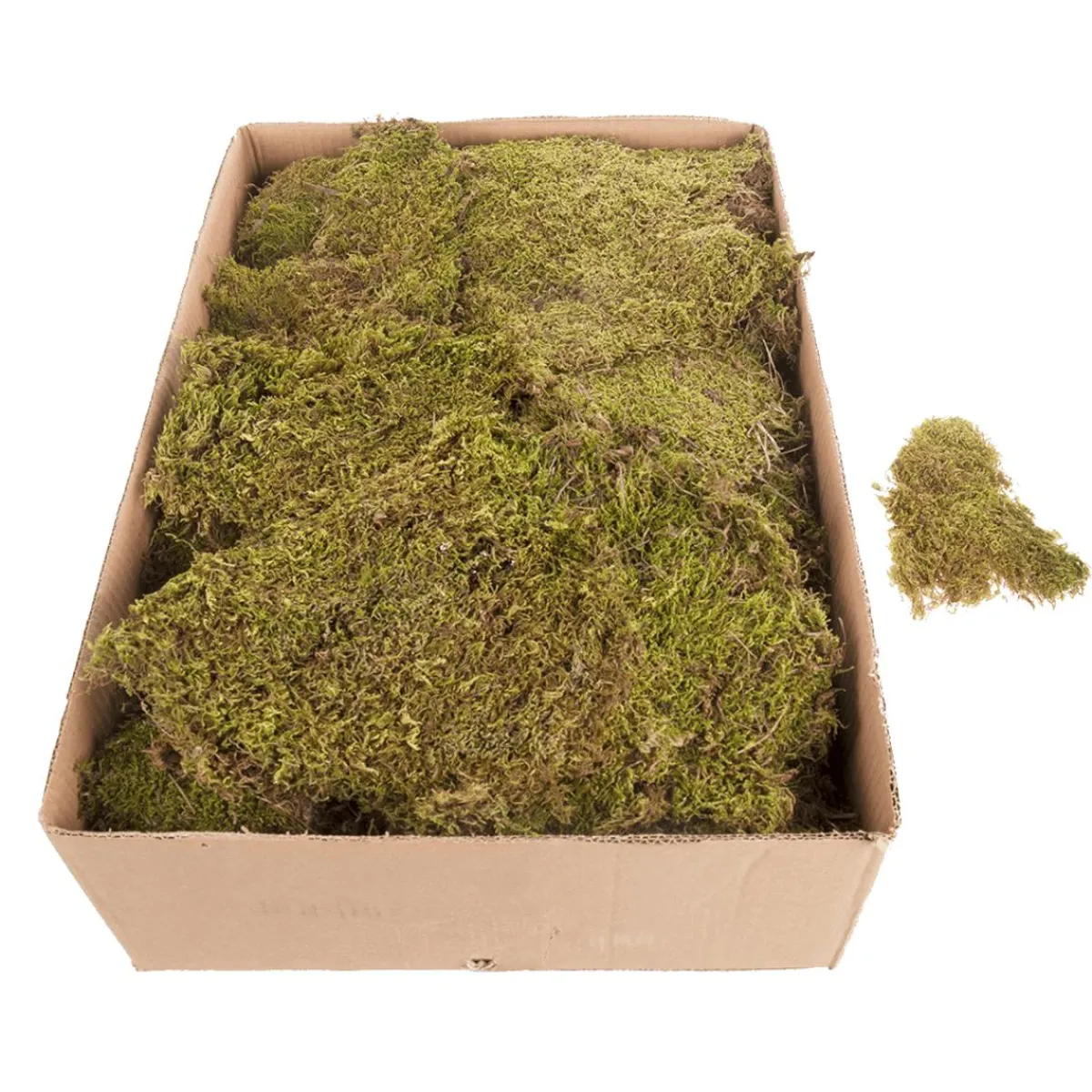 Tapis De Mousse, Plaques De Mousse 2 Kg-DecoWoerner Best