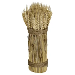 Tiges De Blé Séchées Liées 2 Fois 8 X 28 Cm-DecoWoerner Outlet