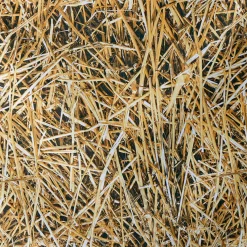 Tissu Déco "Paille" Larg. 150 Cm-DecoWoerner Clearance