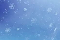 Tissu Flocons De Neige En Organza Larg. 150 Cm-DecoWoerner Discount