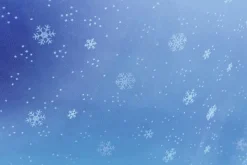 Tissu Flocons De Neige En Organza Larg. 150 Cm-DecoWoerner Discount