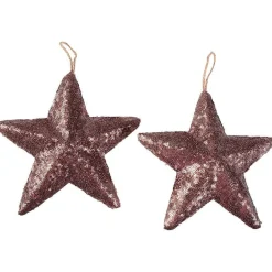 Étoile à Paillettes Ø 22 Cm, 2 Pces, Nougat-DecoWoerner Hot