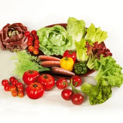 Tomates En Grappes s Alimentaire Factice, 2 Grappes-DecoWoerner Discount