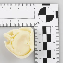 Tortellini Aliment Factice, 10 Pièces-DecoWoerner New
