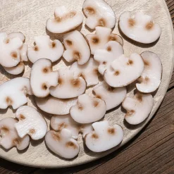 Tranches De Champignon Aliment Factice, 12 Pièces-DecoWoerner Outlet