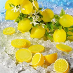 Tranches De Citron Aliment Factice, 6 Pces-DecoWoerner New