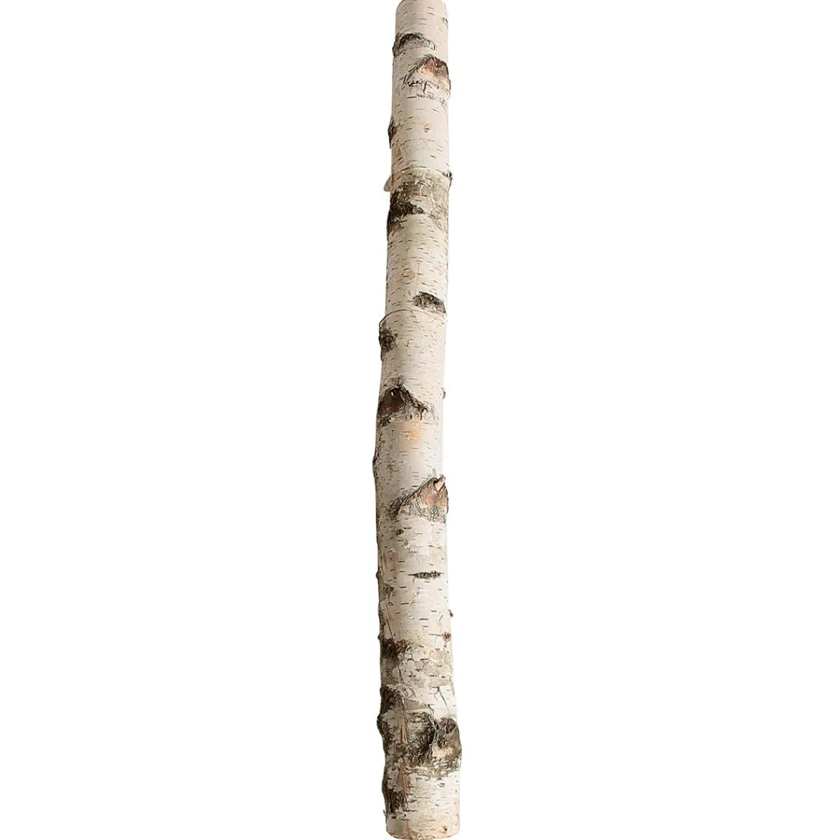 Tronc De Bouleau 100 Cm Environ 6-10 Cm Ø-DecoWoerner Outlet