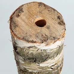 Tronc De Bouleau 100 Cm Environ 6-10 Cm Ø-DecoWoerner Outlet
