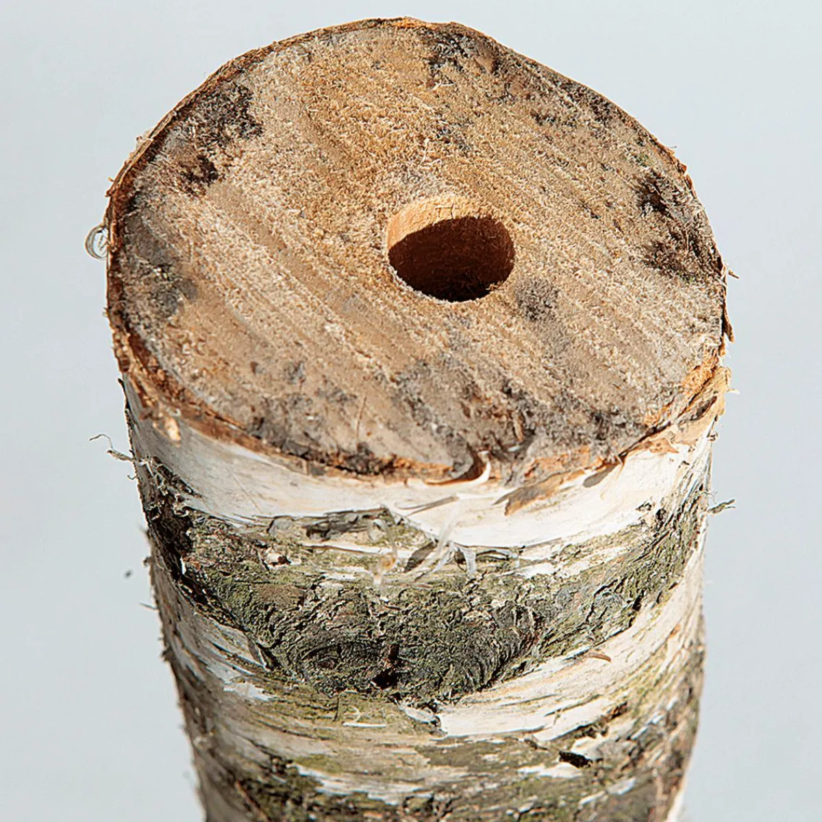 Tronc De Bouleau 100 Cm Environ 6-10 Cm Ø-DecoWoerner Outlet