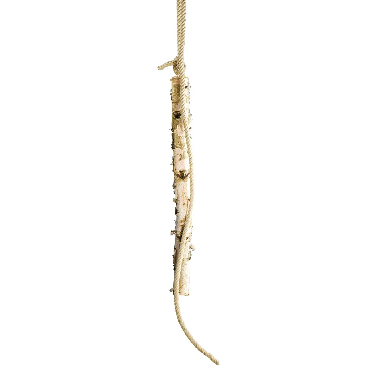 Tronc De Bouleau 100 Cm Environ 6-10 Cm Ø-DecoWoerner Outlet