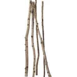Troncs De Bouleau Déco 170 Cm, 5 Pces-DecoWoerner Clearance