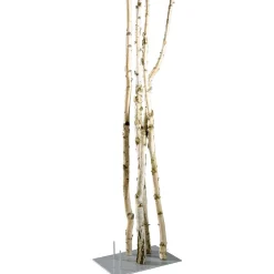 Troncs De Bouleau Déco 220 Cm-DecoWoerner Sale