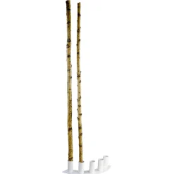 Troncs De Bouleau Déco 220 Cm-DecoWoerner Sale