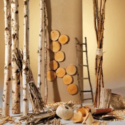 Troncs De Bouleau Déco 220 Cm-DecoWoerner Sale
