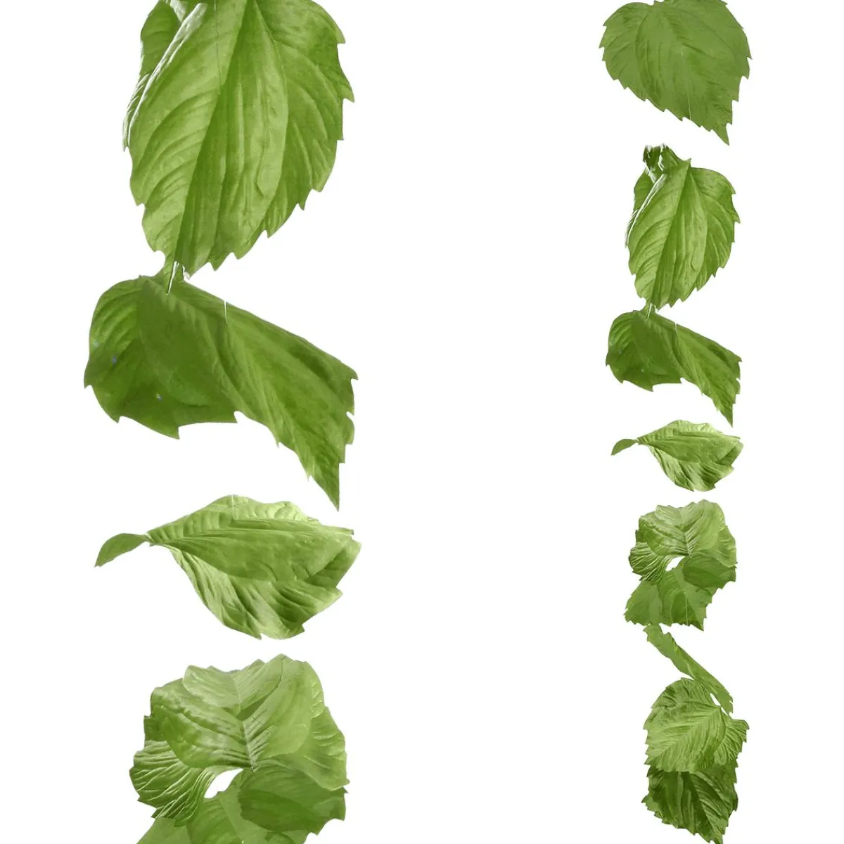 Vignette Feuilles De Bouleau 160 Cm-DecoWoerner