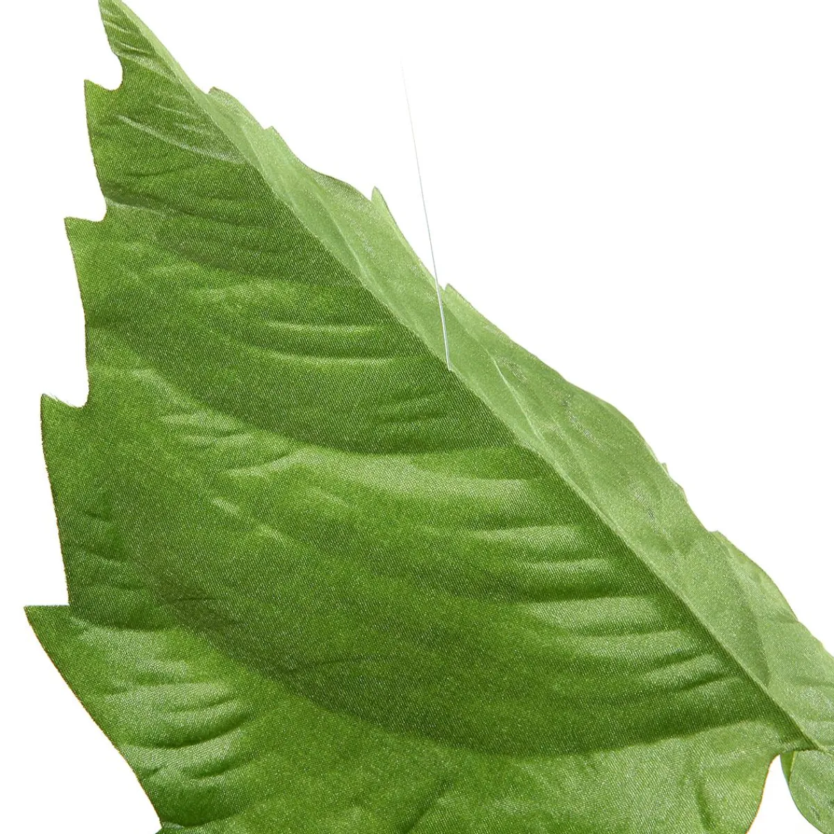 Vignette Feuilles De Bouleau 160 Cm-DecoWoerner